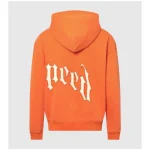Godspeed Grey And Orange Hoodie Back Side