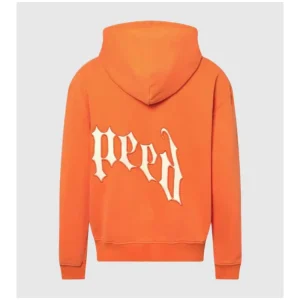 Godspeed Grey And Orange Hoodie Back Side